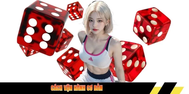 Cách vận hành cơ bản của tài xỉu MD5